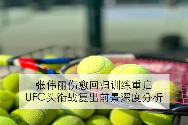 维斯塔潘匈牙利站练习赛节奏回升红牛升级效果全面显现
